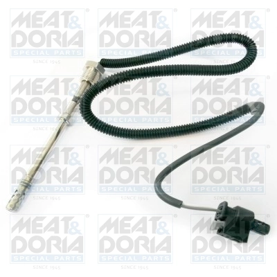Sensor, exhaust gas temperature